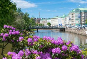 west sweden gothenburg canal rhododendrons istk