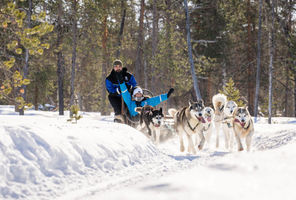 finland-wilderness-husky-sledding