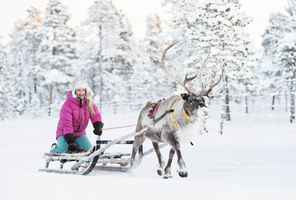 swedish-lapland-reindeer-sledding-vs