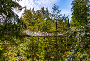 canada-capilano-suspension-bridge-british-columbia-astk