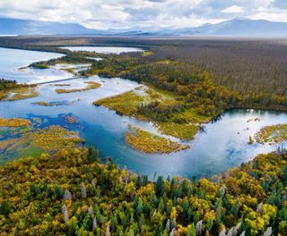 Aerial views over Denali National Park