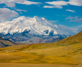 Denali National Park