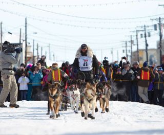 alaska iditarod sled dog race finish nome atia