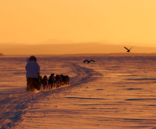 alaska iditarod sunset cm