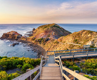 australia boardwalk to pulpit rock sea stack mornington peninsula istk