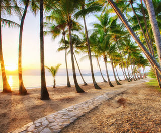 australia queensland palm cove istk