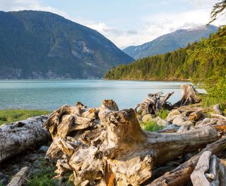 british columbia bella coola tweedsmuir national park adstk