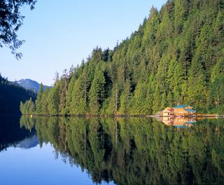 british columbia great bear lodge reflection
