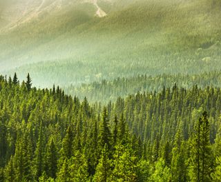 canada alberta minnewanka banff national park istk