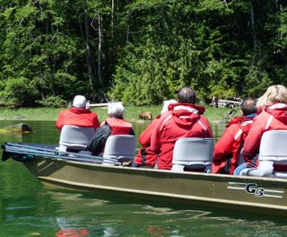 canada knight inlet bear watching by boat british columbia ll