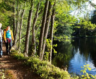 dalsland riverside hiking dals ws