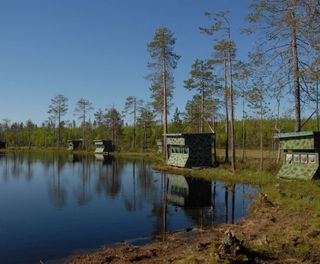 eastern finland bear hides on lake as