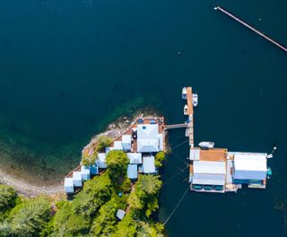 farewell harbour lodge overhead view