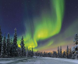 finland aurora over forest istk