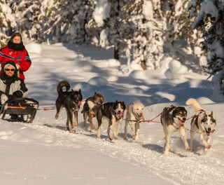 finnish lapland iso syote husky sledding