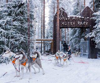 finnish lapland ranua husky sledding entrance