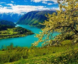 fjord norway hardanger ulvik village tb