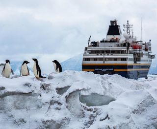 heritage adventurer cape adare penguins 2000x1333 Compressed