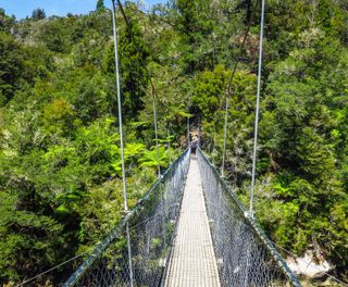 new zealand abel tasman swing bridge pov astk