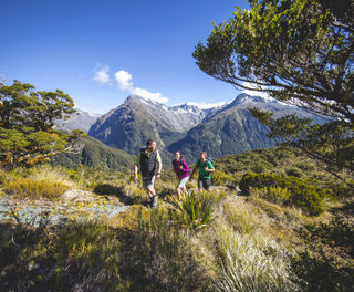 Routeburn Track