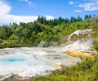 new zealand orakei korako thermal park rotorua istk