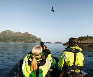 norway lofoten sea eagle safari havila