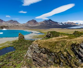 south georgia fortuna bay istk