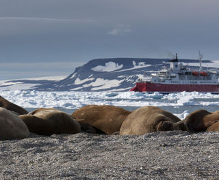 spitsbergen hinlopen strait rth