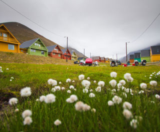 svalbard longyearbyen coloured houses summer istock