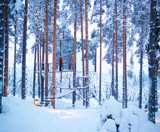 sweden lapland treehotel mirror cube gr