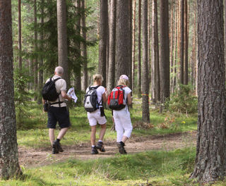 sweden varmland family hiking wtrwld