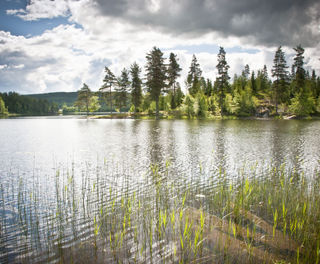 sweden varmland lakeview summer vs