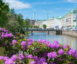 west sweden gothenburg canal rhododendrons istk