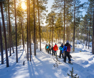 finnish-lapland-group-snowshoeing-whs
