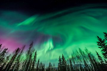green and pink colours of the aurora in Alaska