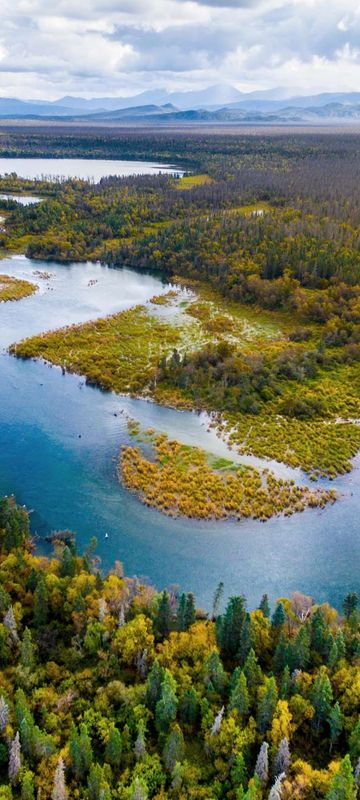 Aerial views over Denali National Park