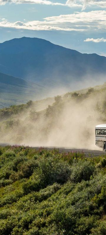 Guided tour, Denali National Park