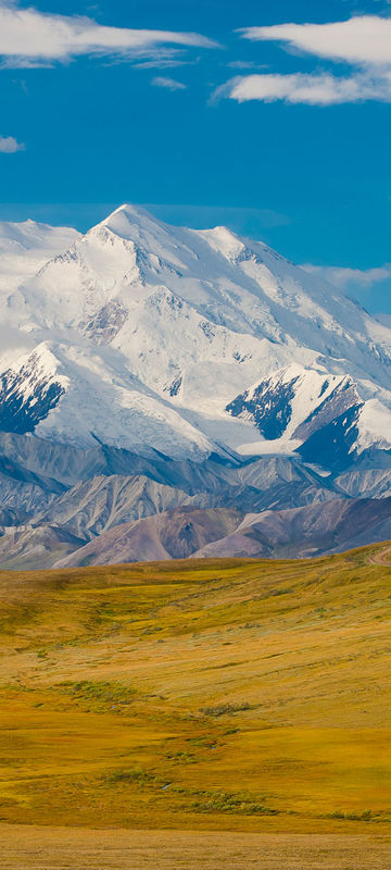 Denali National Park