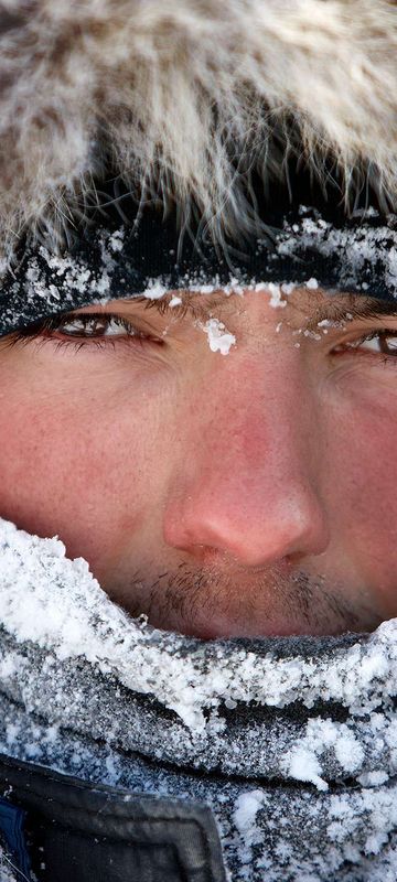 alaska iditarod husky musher atia