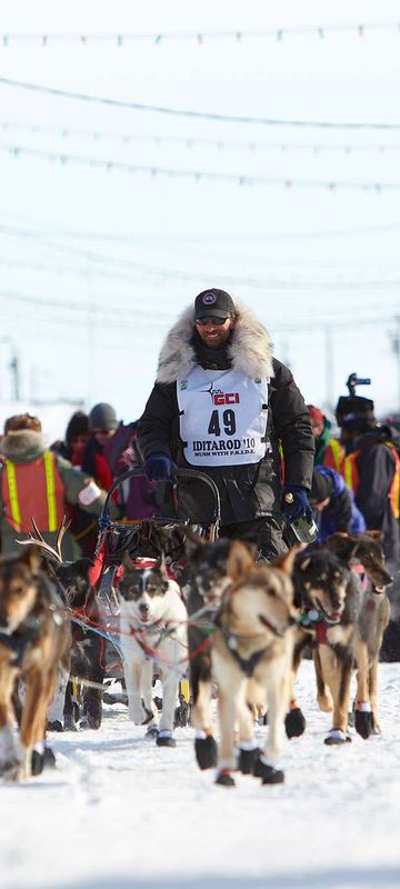 alaska iditarod sled dog race finish nome atia