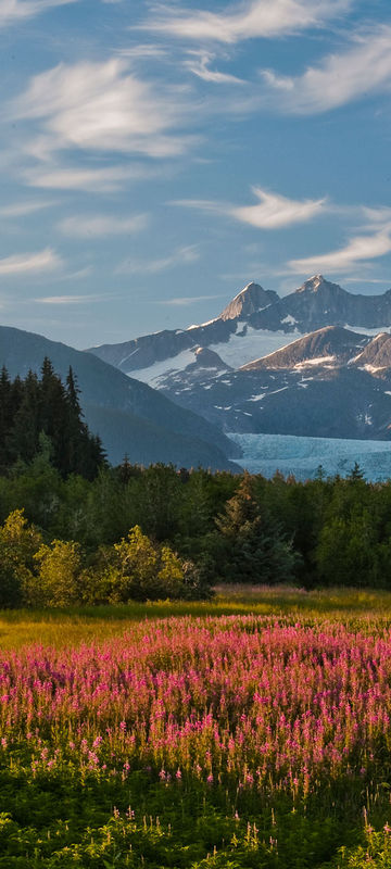 alaska inside passage mendenhall glacier atia