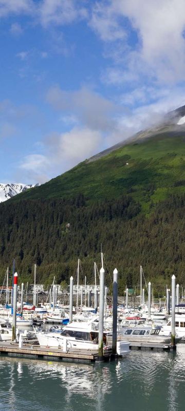 Seward Harbour