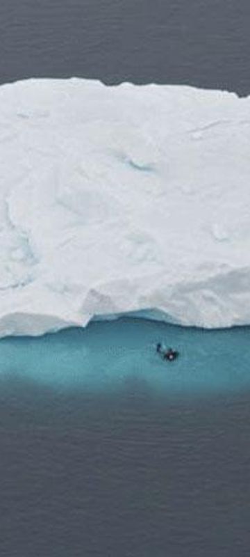 antarctica snorkelling ae