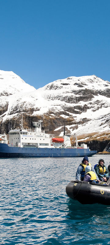 antarctica south georgia zodiac and ship right whale bay markjones aurexped