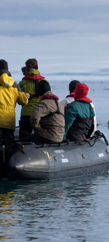 arctic spitsbergen zodiac trip with guillemots in alkefjeldet rth