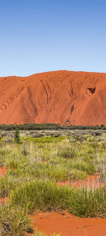 australia northern territory uluru viewpoint adstk