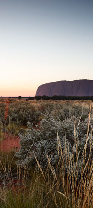 australia nt red centre desert awakenings sunrise lrg