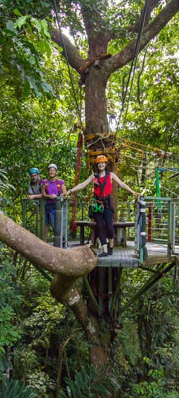 australia queensland daintree np jungle surfing1