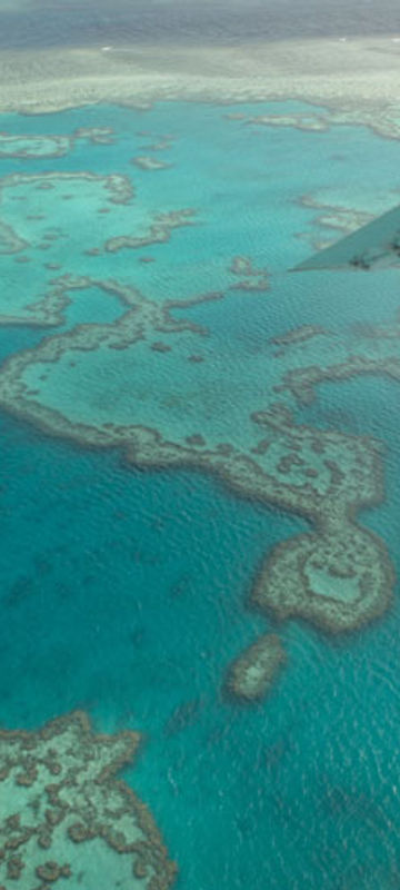 australia queensland seaplane flying over reef is