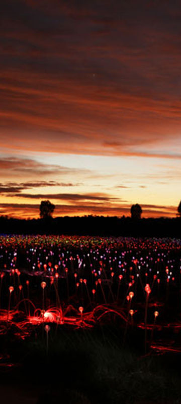 australia uluru bruce munro at field of light